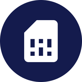 Geolocalization Icon