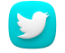 Twitter Icon